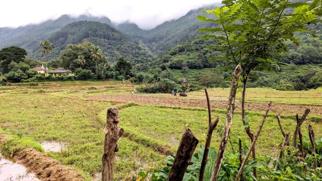 Manigala Knuckles village