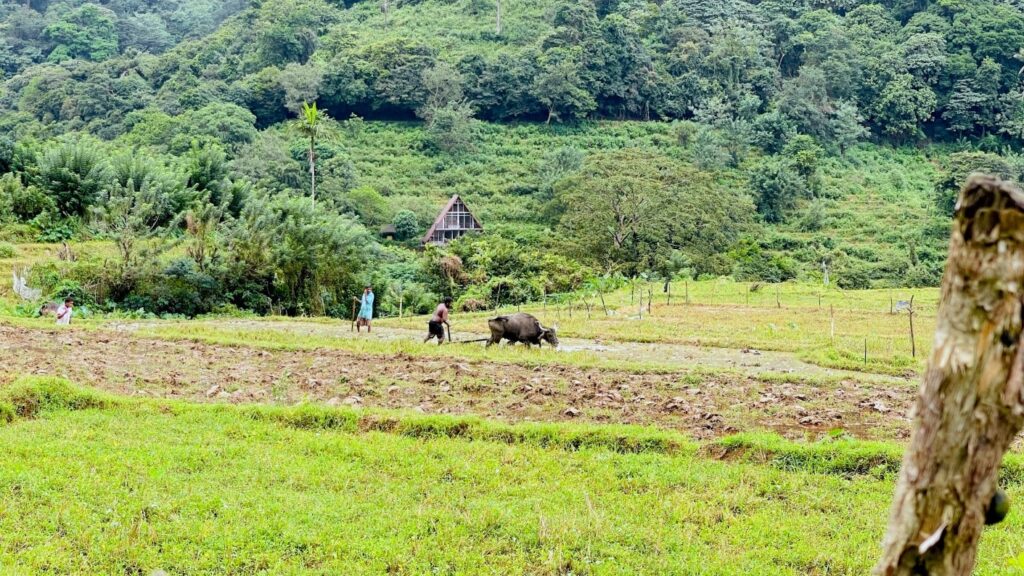 Manigala Village