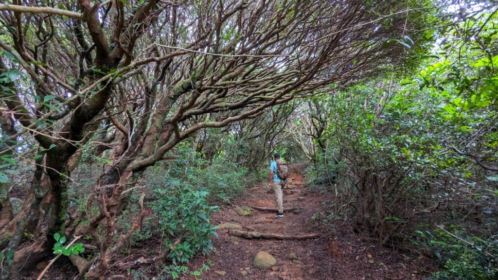 Manigala Hike Path