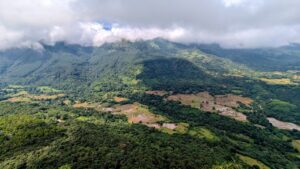 Manigala Knuckles view